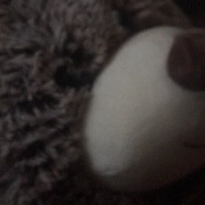 Meet your Posher, Charity